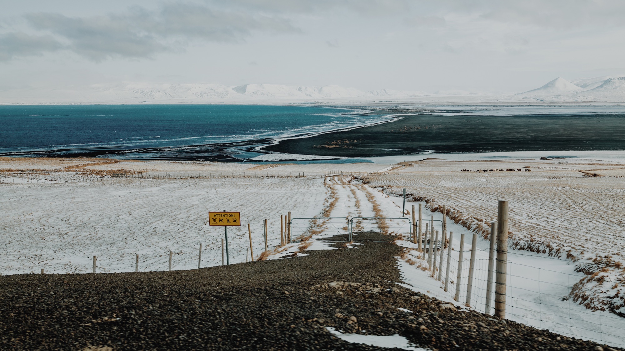 Vaterland, Iceland · 02